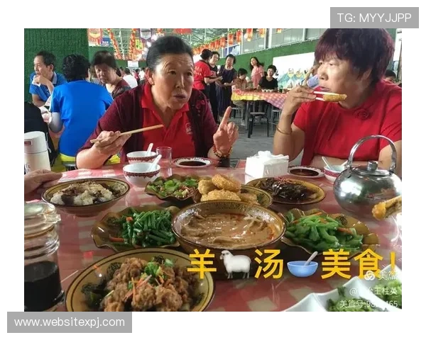 新葡萄娱乐城官方下载流程详解，轻松下载安装确保游戏体验流畅无忧